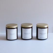 Load image into Gallery viewer, Fall Favorites Bundle