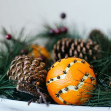 Load image into Gallery viewer, Cabin Fever Orange & Clove Candle