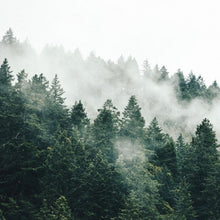 Load image into Gallery viewer, Mountain Air Pine & Cedar Candle