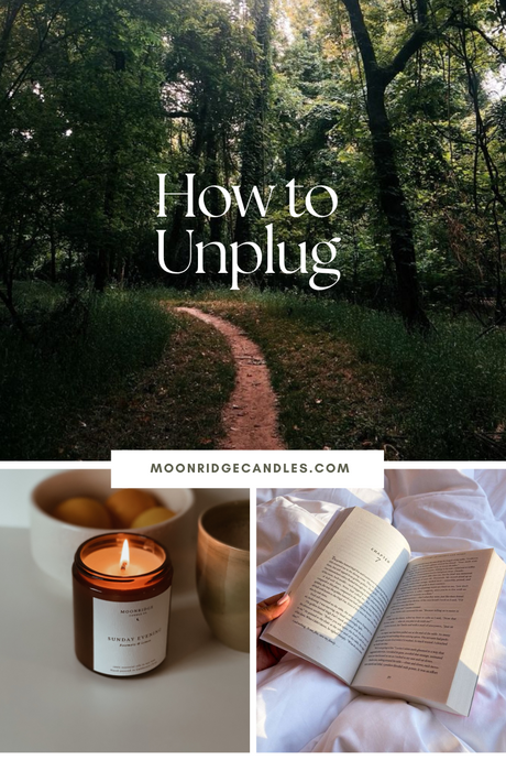 How to Unplug and Enjoy a Slow Fall